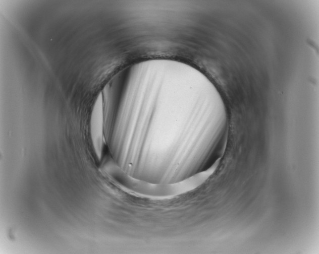 X0000097780017200803211809