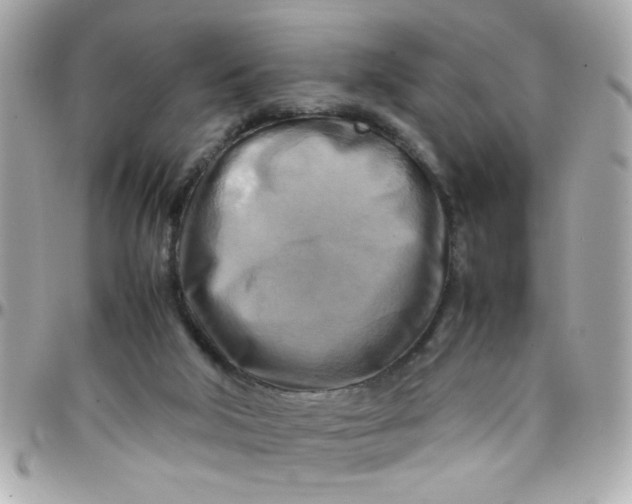 X0000097780018200803211809