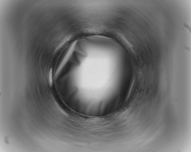 X0000097780020200803211809