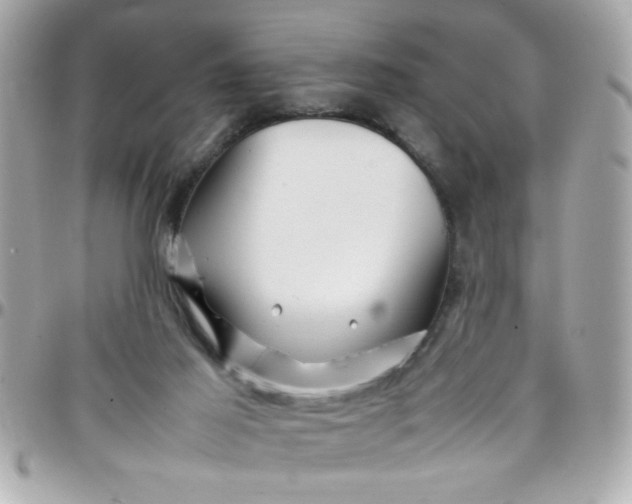 X0000097780021200803211809