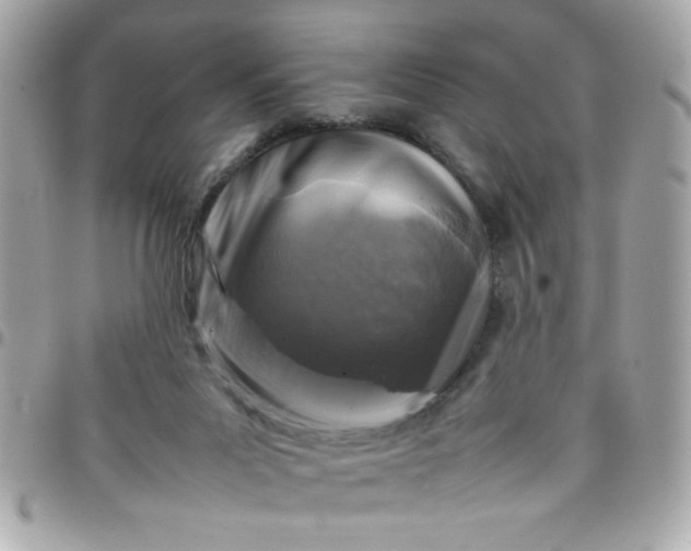 X0000097780023200803211809