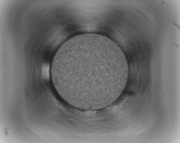 X0000097780024200803211809