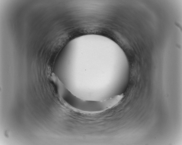 X0000097780025200803211809