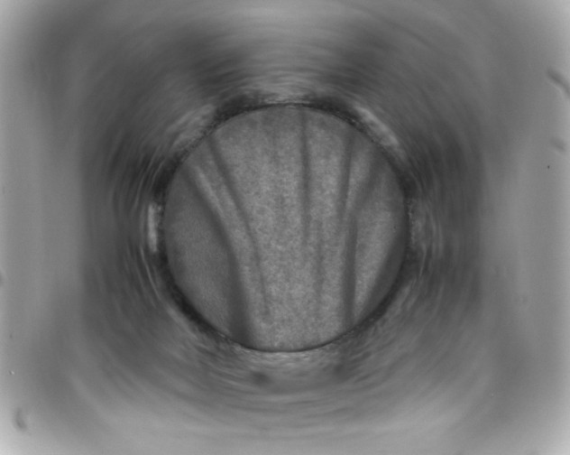 X0000097780026200803211809