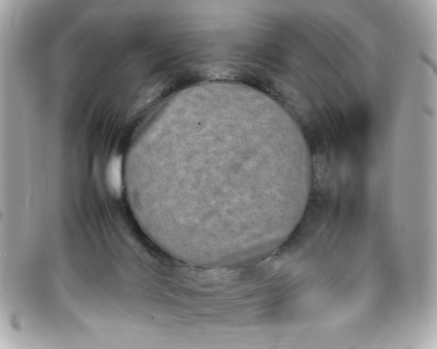 X0000097780028200803211808