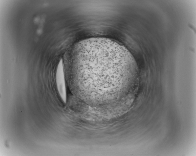 X0000097780029200803211808