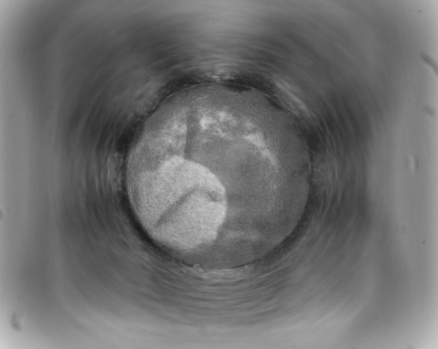 X0000097780030200803211808