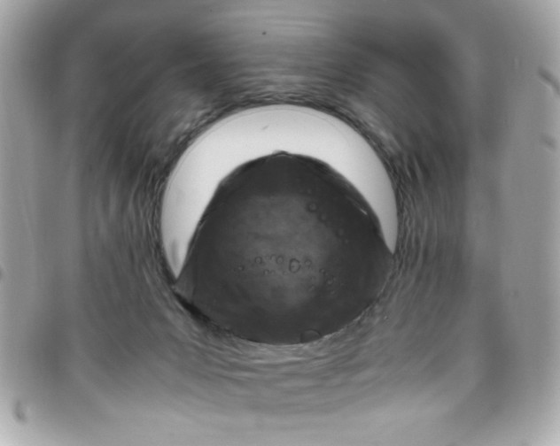 X0000097780031200803211808