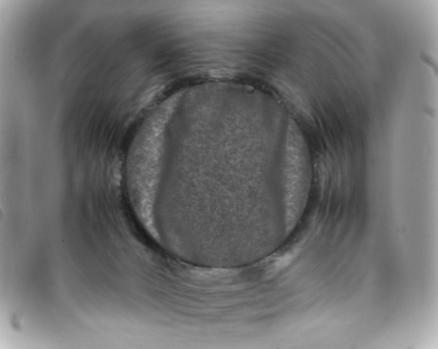 X0000097780032200803211808