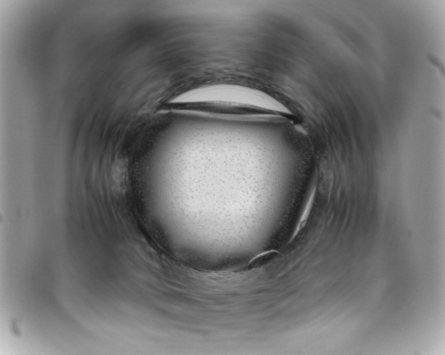 X0000097780034200803211808