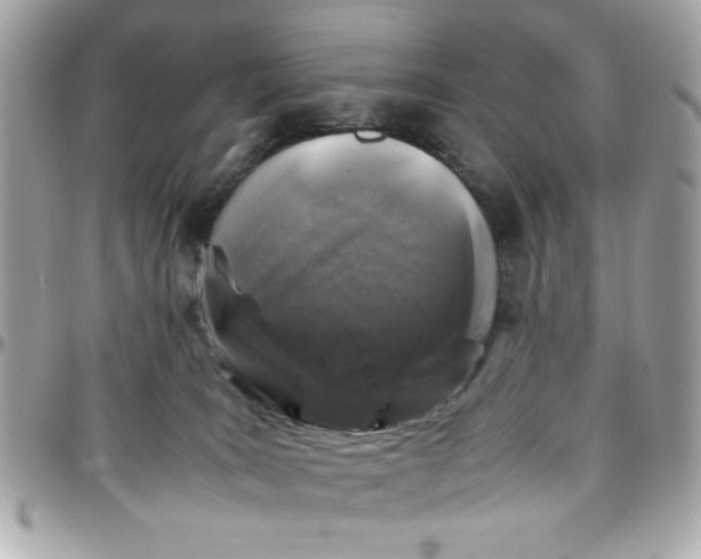 X0000097780035200803211808