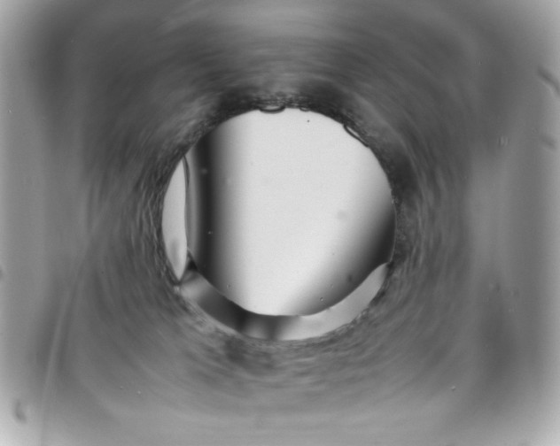 X0000097780037200803211808