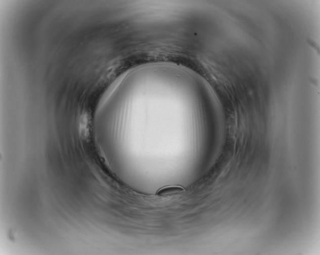 X0000097780038200803211808