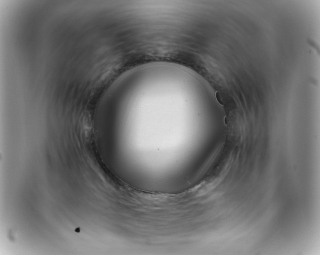 X0000097780040200803211808