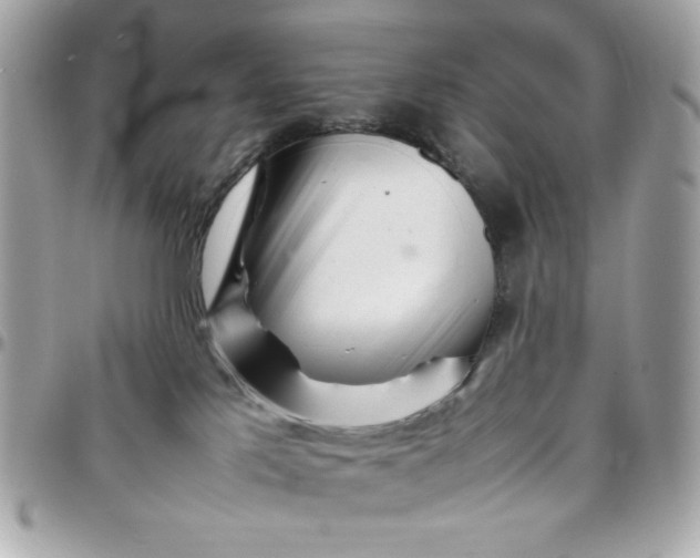 X0000097780041200803211808