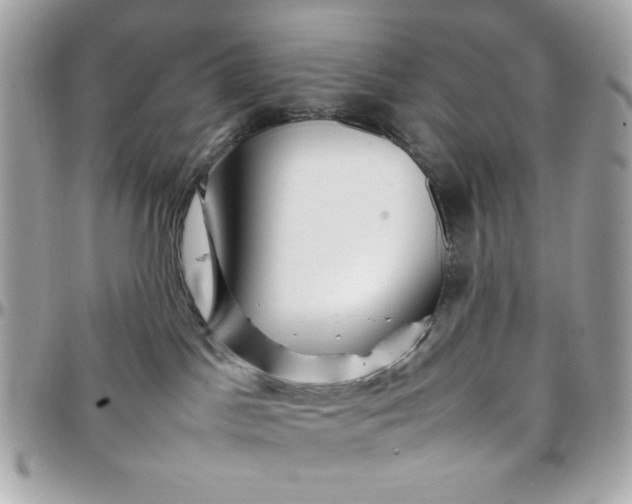 X0000097780045200803211808