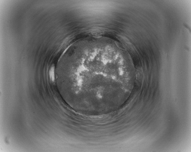 X0000097780046200803211808