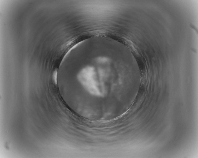 X0000097780047200803211808