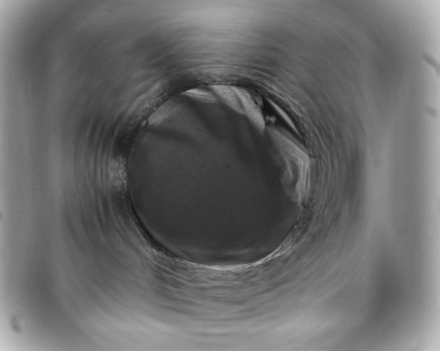 X0000097780048200803211808