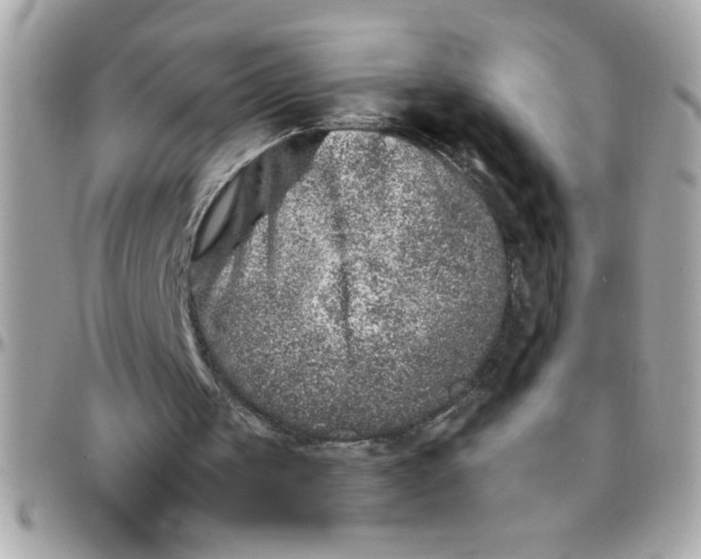 X0000097780049200803211808