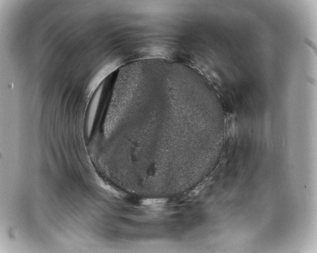 X0000097780051200803211808