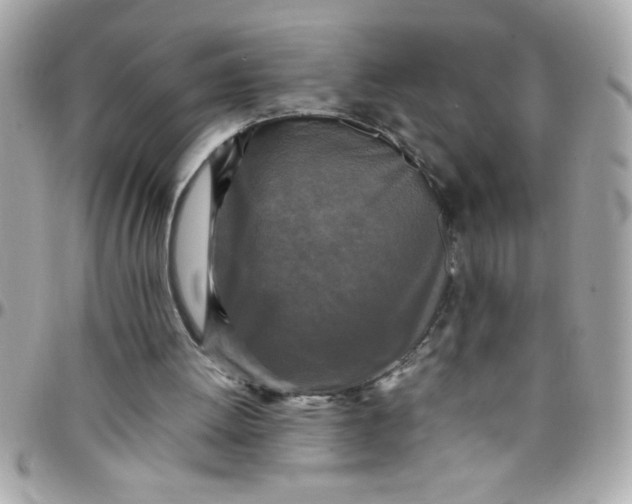 X0000097780052200803211808