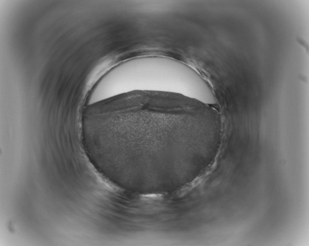 X0000097780053200803211808