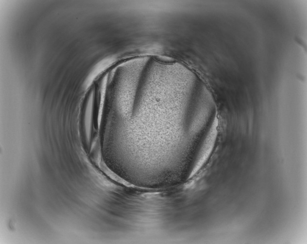 X0000097780054200803211808