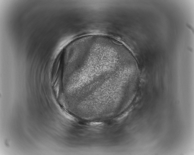 X0000097780055200803211808