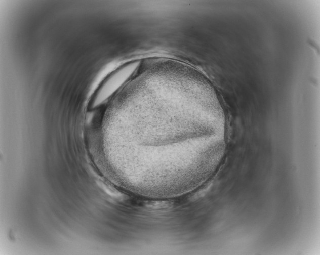 X0000097780056200803211808