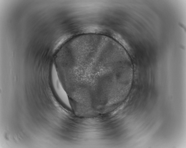 X0000097780058200803211808