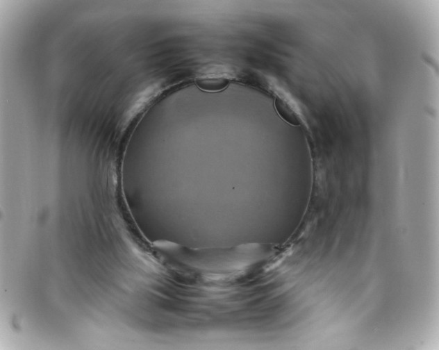 X0000097780059200803211808