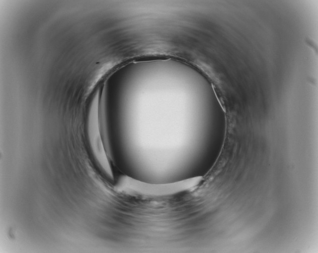 X0000097780060200803211808