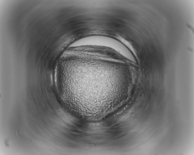 X0000097780061200803211808