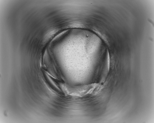 X0000097780062200803211808