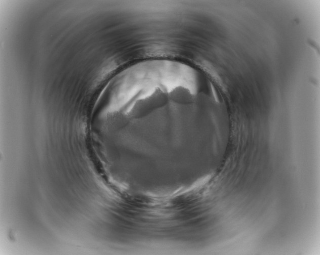 X0000097780063200803211808