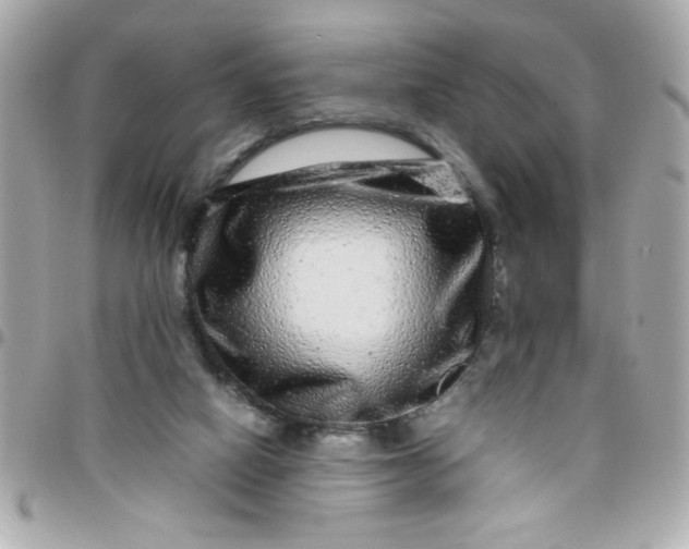 X0000097780066200803211808