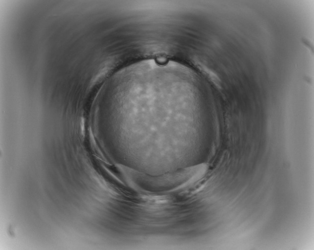 X0000097780067200803211808