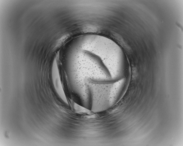 X0000097780068200803211808