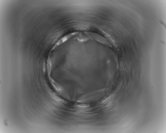 X0000097780069200803211808