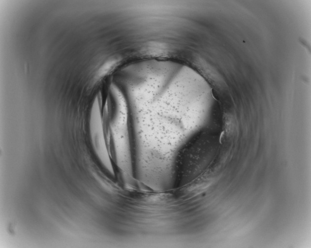 X0000097780072200803211808