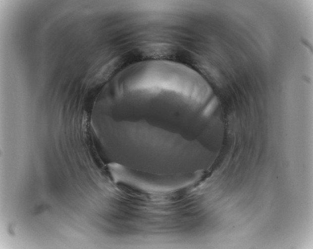 X0000097780073200803211808