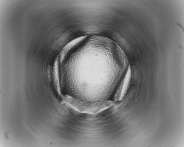 X0000097780074200803211808