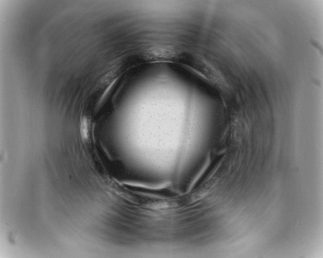 X0000097780075200803211808