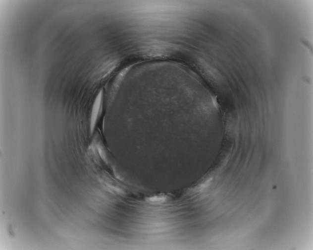 X0000097780076200803211808