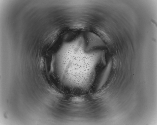 X0000097780077200803211808