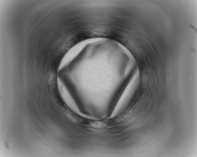 X0000097780079200803211808