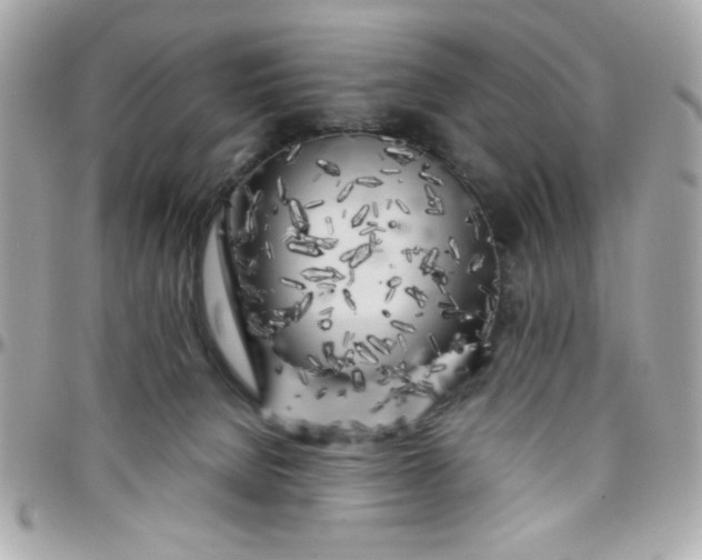 X0000097780080200803211808