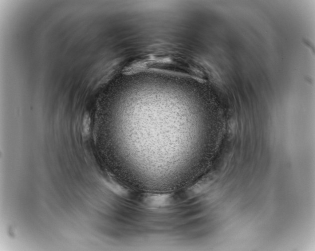 X0000097780081200803211808