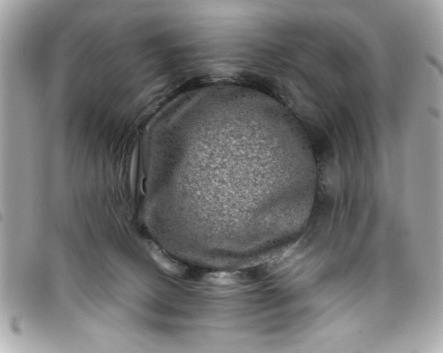 X0000097780082200803211808